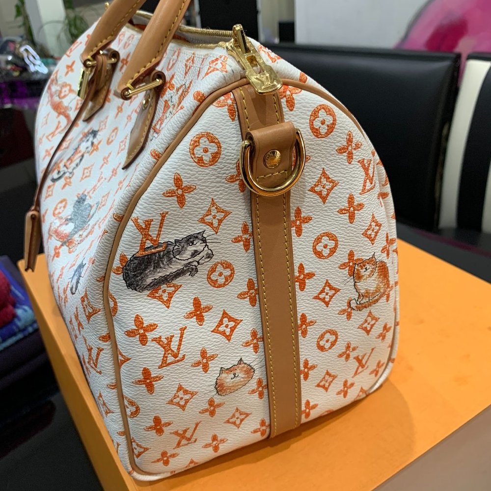 ❌EXCLUSIVE Louis Vuitton Catogram Speedy White Bag - Picture 4 of 14